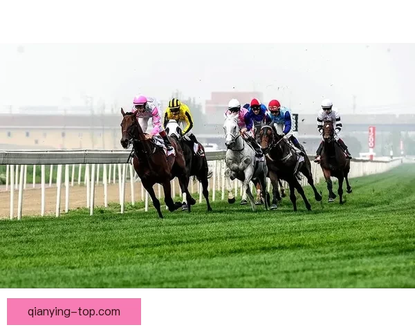 世界杯竞猜技巧揭秘 提升你的投注成功率 轻松赢得大奖